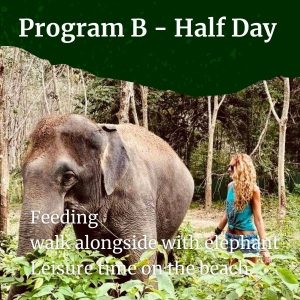 Program B - Half Day