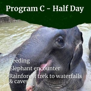 Program C - Half Day